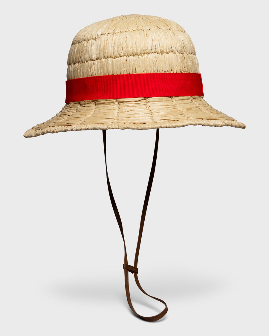 The Luffy <em>Straw Hat</em>