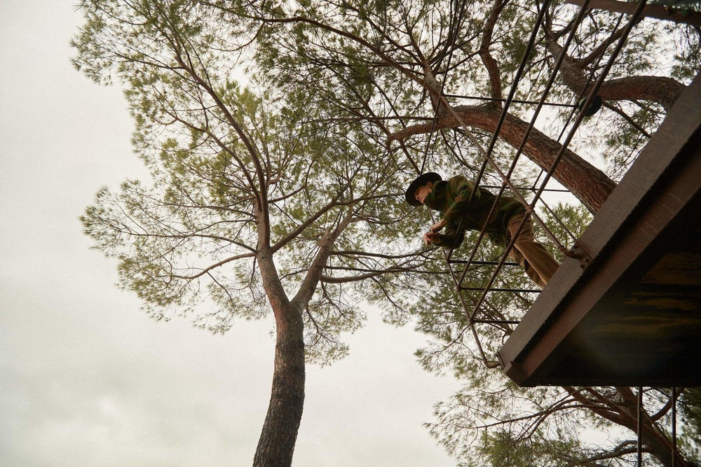 TREE RINGS | SUPERDUPER