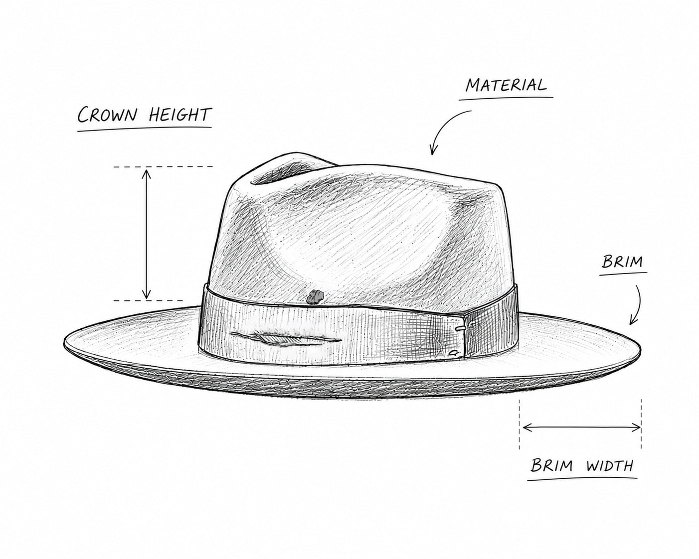 diagram hat anatomy